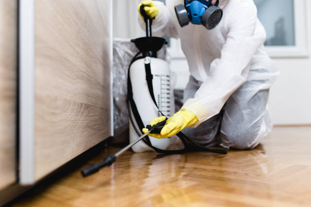 Best Exterminator Services  in Lake Panasoffkee, FL