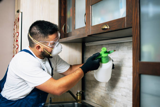 Best Commercial Pest Control Services  in Lake Panasoffkee, FL