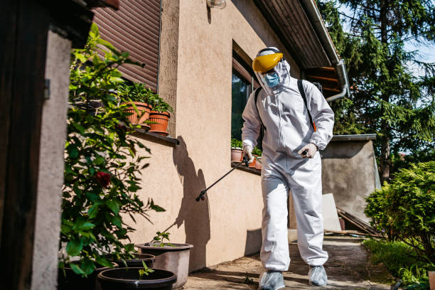 Best Best Pest Control Companies  in Lake Panasoffkee, FL