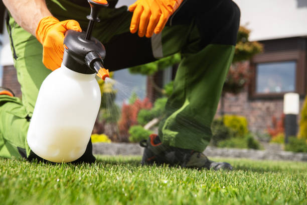Best Local Pest Control Services  in Lake Panasoffkee, FL
