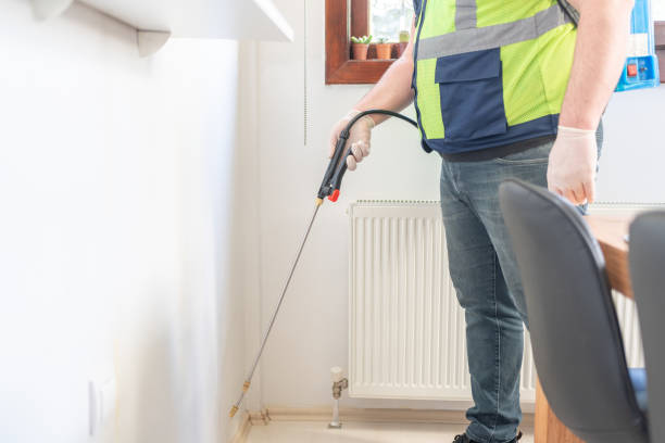 Best Termite Control Services  in Lake Panasoffkee, FL