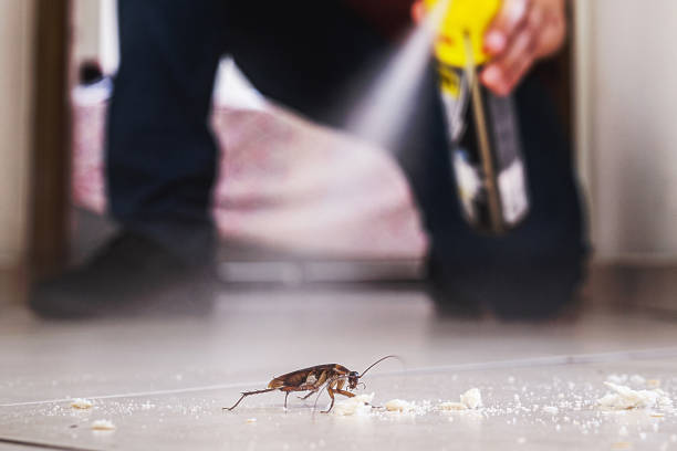 Best Wildlife Control Services  in Lake Panasoffkee, FL