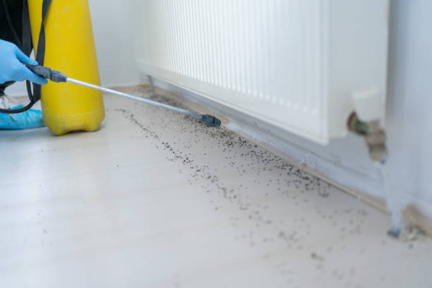 Best Emergency Pest Control  in Lake Panasoffkee, FL